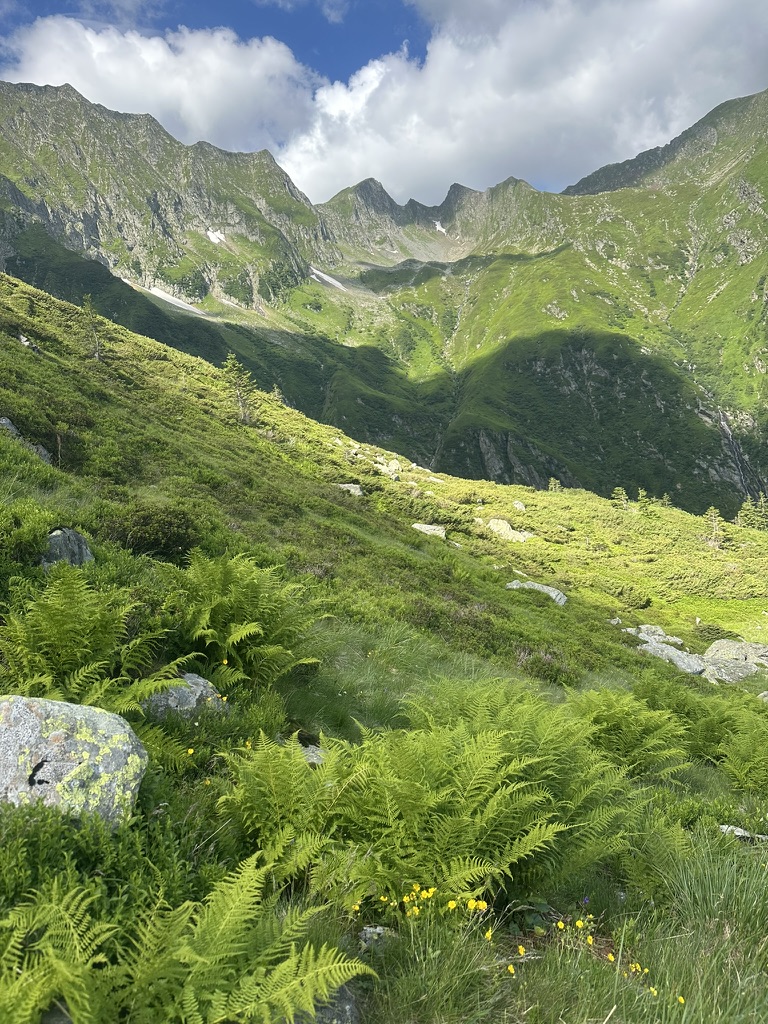Vale verde cu ferigi și creste stâncoase