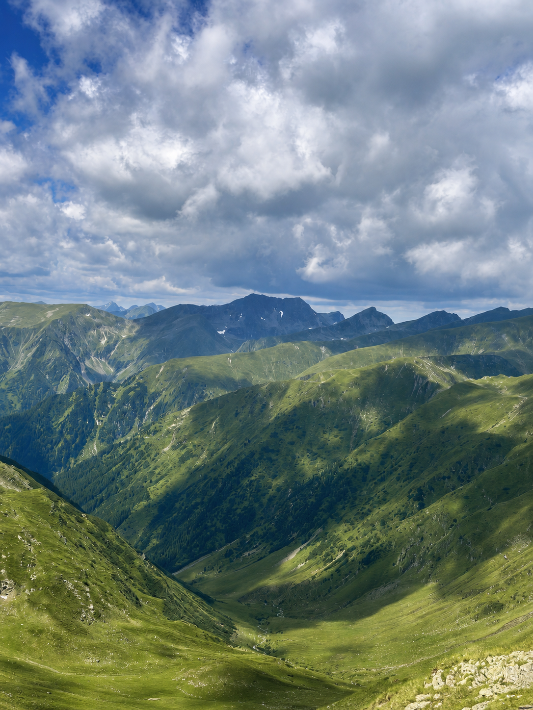 Panoramă a crestelor verzi din Munții Făgăraș