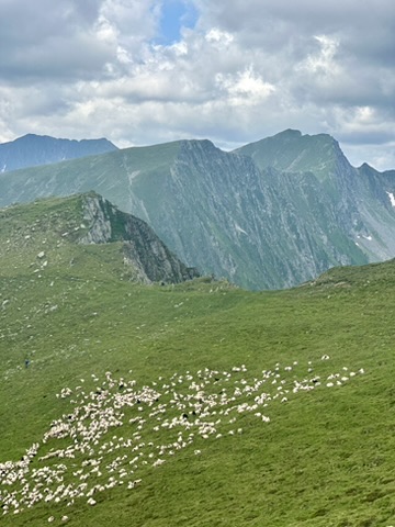 Culmi înalte din Munții Făgăraș
