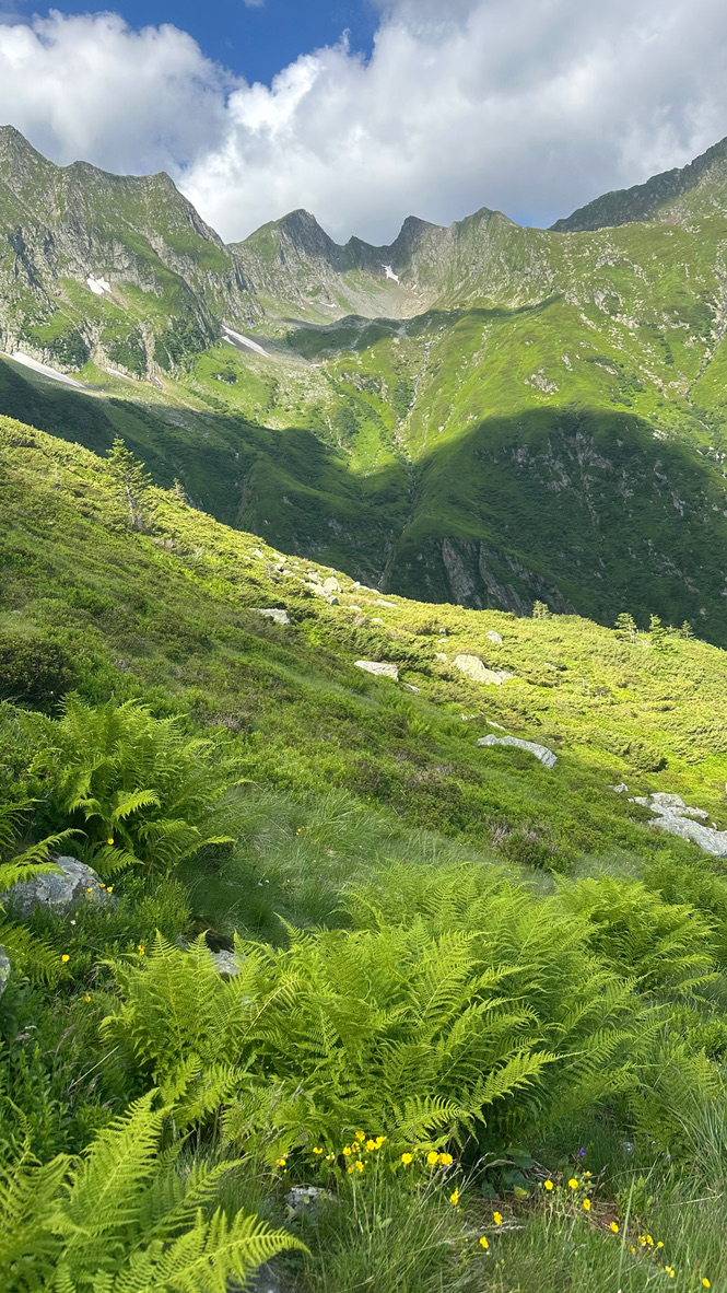 Crestele dinspre Fereastra Sâmbetei, văzute de pe traseu