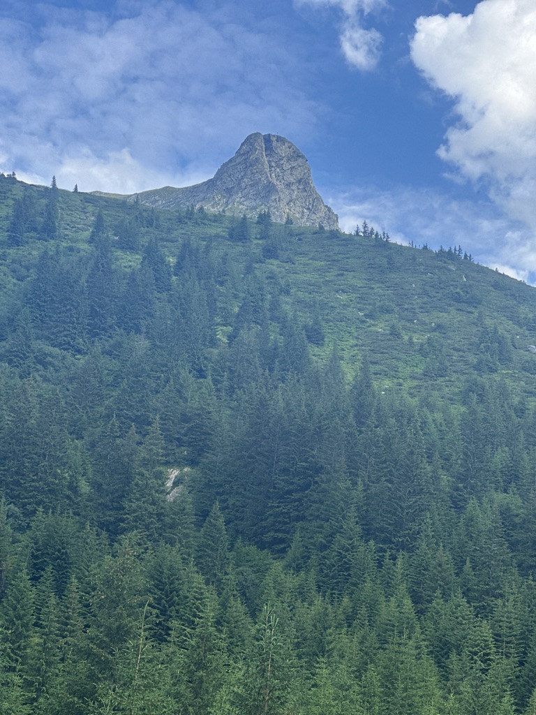 Stâncă deasupra pădurii, în apropierea Vârfului Colțul Bălăceni